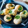 12 escargots belle grosseur