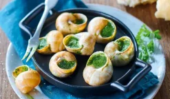 12 escargots belle grosseur