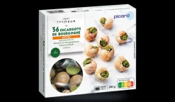 36 escargots moyens de Bourgogne