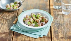 50 escargots petits gris, moyens, sans tortillon