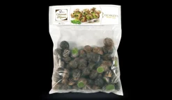 50 escargots petits gris, moyens, sans tortillon