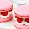 2 macarons framboise
