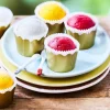 6 timbales de sorbet, framboise, mangue, citron