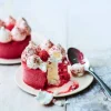 2 vacherins vanille-framboise