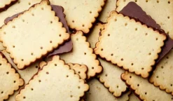 Biscuits petit-beurre au chocolat au lait