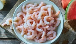 Crevettes nordiques cuites décortiquées MSC