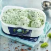 Crème glacée menthe, avec copeaux de chocolat
