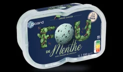 Crème glacée menthe, avec copeaux de chocolat