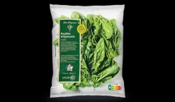 Feuilles d'épinards sans résidu pesticides, France