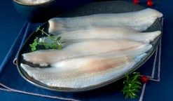 Filets de limande-sole