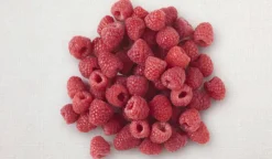 Framboises entières bio, UE et non UE