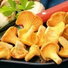 Girolles