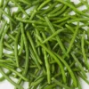Haricots verts extra-fins bio