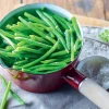 Haricots verts très fins sans résidu de pesticides