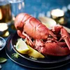 Homard canadien entier cuit MSC,Homarus americanus