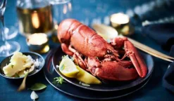 Homard canadien entier cuit MSC,Homarus americanus