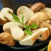 Jeunes cèpes coupés