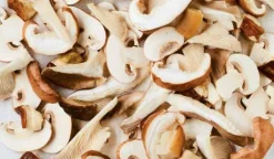 Mélange de champignons bio