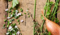 Mélange pour salades