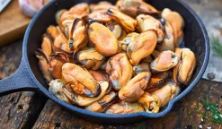 Moules du Pacifique cuites décoquillées ASC, Chili