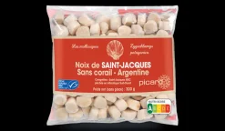 Noix de Saint-Jacques Argentine MSC
