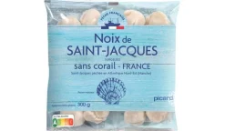 Noix de Saint-Jacques France