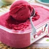 Sorbet fruits rouges
