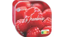 Sorbet La framboise