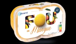 Sorbet mangue