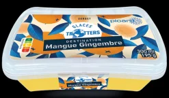 Sorbet Mangue Gingembre
